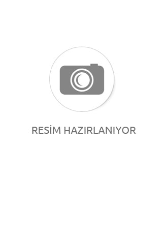 TÜPLÜ AŞILI GRAN SMİTH YEŞİL  ELMA FİDANI 2 YAŞ BOY 90-110 CM